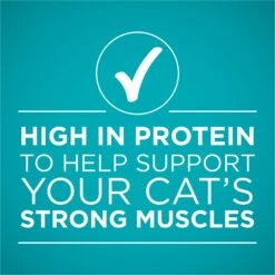 Purina ONE True Instinct Salmon & Trout Recipe In Sauce Natural High Protein Canned Cat Food 16 Purina ONE True Instinct Salmon & Trout Recipe In Sauce Natural High Protein Canned Cat Food -Blue Buffalo Shop 91561 PT5. AC SS1800 V1653499283
