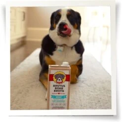Brutus Broth Bone Broth Beef Flavor Hip & Joint Human-Grade Dog Food Topper, 32-oz Box & Brutus Broth Bone Broth Chicken Flavor Hip & Joint Human-Grade Dog Food Topper, 32-oz Box -Blue Buffalo Shop 916422 PT4. AC SS1800 V1689883429