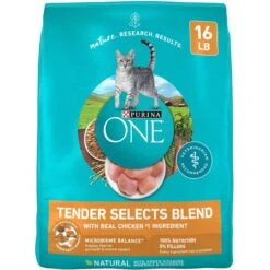 Purina ONE Tender Selects Blend With Real Chicken Dry Cat Food