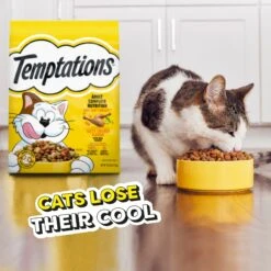 Temptations Tasty Chicken Flavor Adult Dry Cat Food 18 Temptations Tasty Chicken Flavor Adult Dry Cat Food -Blue Buffalo Shop 916974 PT7. AC SS1800 V1689970278