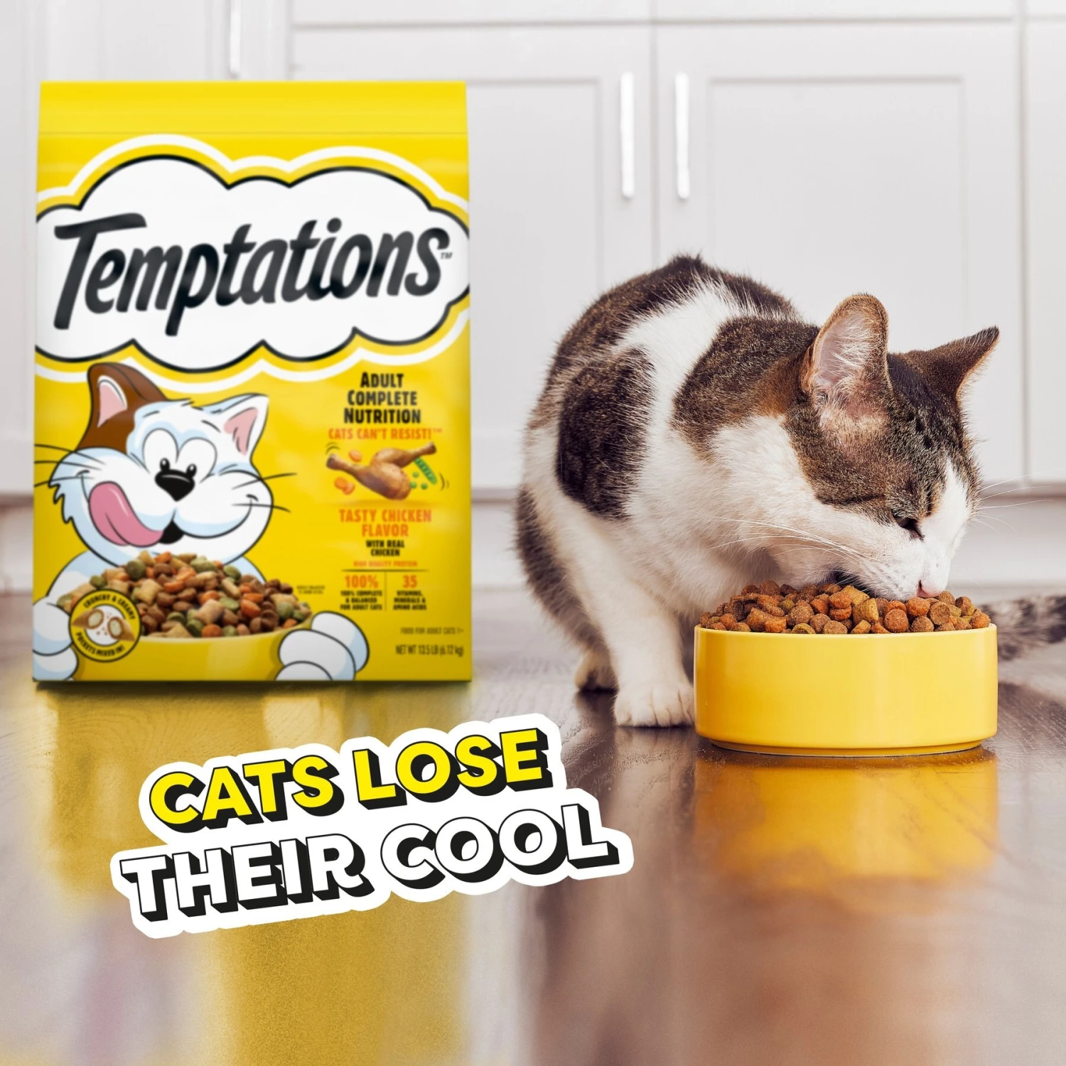 Temptations Tasty Chicken Flavor Adult Dry Cat Food 10 Temptations Tasty Chicken Flavor Adult Dry Cat Food - Image 8