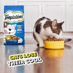 Temptations Tempting Tuna & Chicken Flavor Adult Dry Cat Food -Blue Buffalo Shop 917006 PT7. AC SS1800 V1689970945