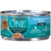 Purina ONE Natural High Protein True Instinct Chicken & Salmon Recipe In Sauce Canned Cat Food 1 Purina ONE Natural High Protein True Instinct Chicken & Salmon Recipe In Sauce Canned Cat Food -Blue Buffalo Shop 91774 MAIN. AC SS1800 V1653428794