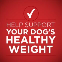 Purina ONE +Plus Adult Tender Cuts In Gravy Healthy Weight Lamb & Brown Rice Entree Canned Dog Food -Blue Buffalo Shop 91789 PT2. AC SS1800 V1671807371