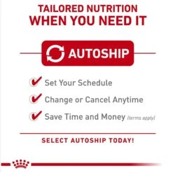 Royal Canin Feline Breed Nutrition Persian Adult Loaf In Sauce Wet Cat Food, 3-oz Can, Case Of 24 11 Royal Canin Feline Breed Nutrition Persian Adult Loaf In Sauce Wet Cat Food, 3-oz Can, Case Of 24 -Blue Buffalo Shop 918414 PT4. AC SS1800 V1691783519