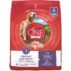 Purina ONE High Protein + Vibrant Maturity 7 Plus Formula Dry Senior Dog Food