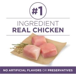 Purina ONE High Protein + Vibrant Maturity 7 Plus Formula Dry Senior Dog Food 13 Purina ONE High Protein + Vibrant Maturity 7 Plus Formula Dry Senior Dog Food -Blue Buffalo Shop 918782 PT2. AC SS1800 V1694624325
