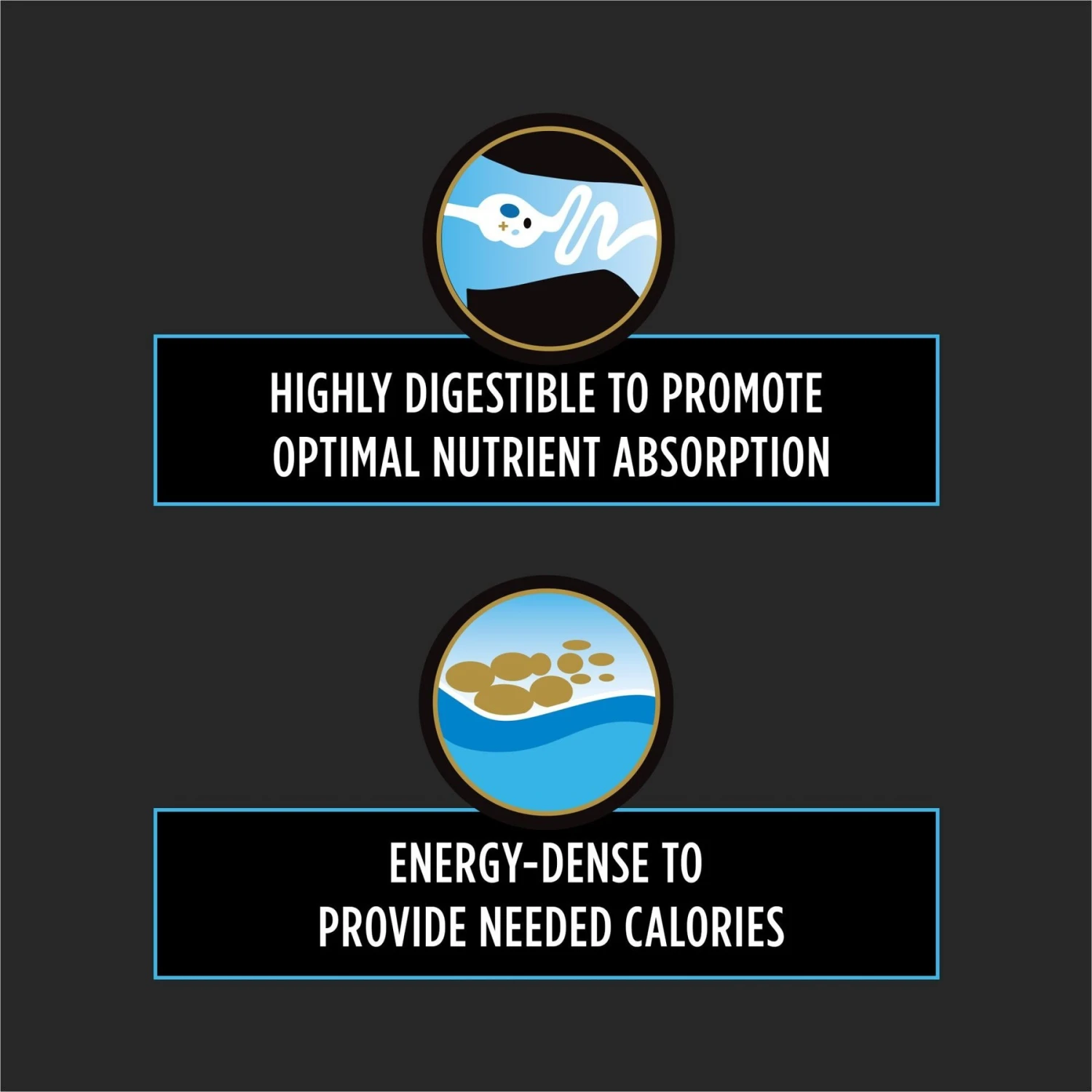 Purina Pro Plan Veterinary Diets CN Critical Nutrition Wet Dog & Cat Food 5 Purina Pro Plan Veterinary Diets CN Critical Nutrition Wet Dog & Cat Food - Image 3