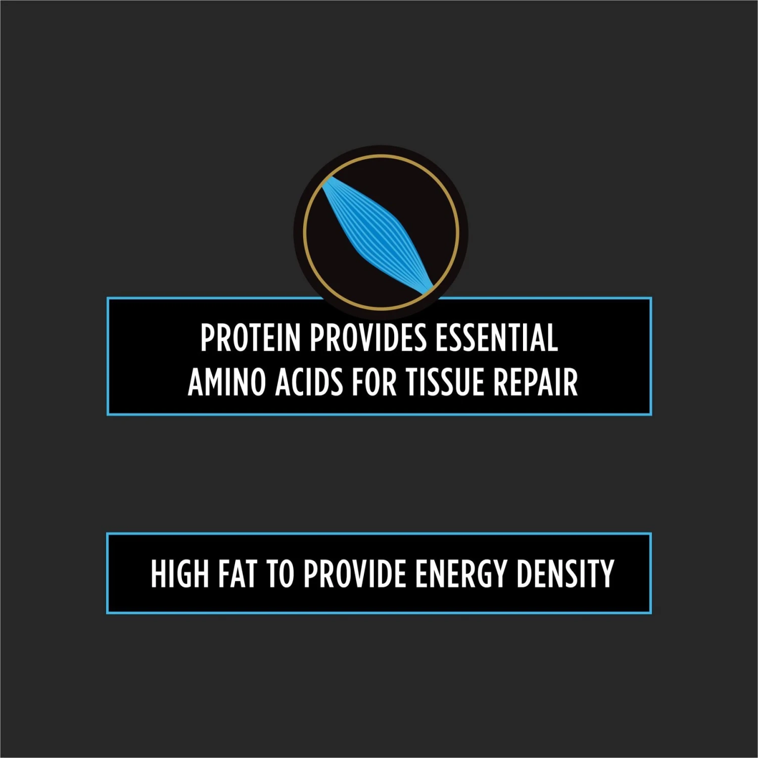 Purina Pro Plan Veterinary Diets CN Critical Nutrition Wet Dog & Cat Food 7 Purina Pro Plan Veterinary Diets CN Critical Nutrition Wet Dog & Cat Food - Image 5