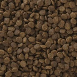 Pro Pac Ultimates Savanna Pride Chicken Grain-Free Indoor Dry Cat Food 10 Pro Pac Ultimates Savanna Pride Chicken Grain-Free Indoor Dry Cat Food -Blue Buffalo Shop 92667 PT2. AC SS1800 V1548869610