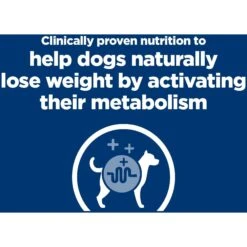 Hill's Prescription Diet Metabolic Lamb Meal & Rice Dry Dog Food 14 Hill's Prescription Diet Metabolic Lamb Meal & Rice Dry Dog Food -Blue Buffalo Shop 92898 PT3. AC SS1800 V1657661114