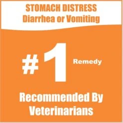 Whole Life Recover Pumpkin & Yogurt Freeze-Dried Dog Food, 16-oz Bag -Blue Buffalo Shop 929774 PT2. AC SS1800 V1691181979