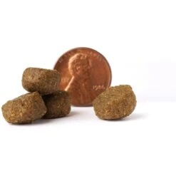 VICTOR Select Ocean Fish Formula Dry Dog Food -Blue Buffalo Shop 93050 PT3. AC SS1800 V1677684674