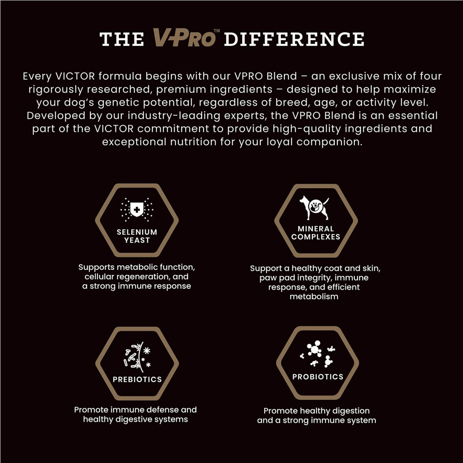 VICTOR Purpose Performance Formula Dry Dog Food 6 VICTOR Purpose Performance Formula Dry Dog Food - Image 4