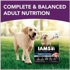 Iams Advanced Health Mobility Support Chicken & Whole Grain Recipe Adult Dry Dog Food -Blue Buffalo Shop 930974 PT2. AC SS1800 V1691181907