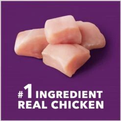 Iams Advanced Health Mobility Support Chicken & Whole Grain Recipe Adult Dry Dog Food -Blue Buffalo Shop 930974 PT3. AC SS1800 V1691181447