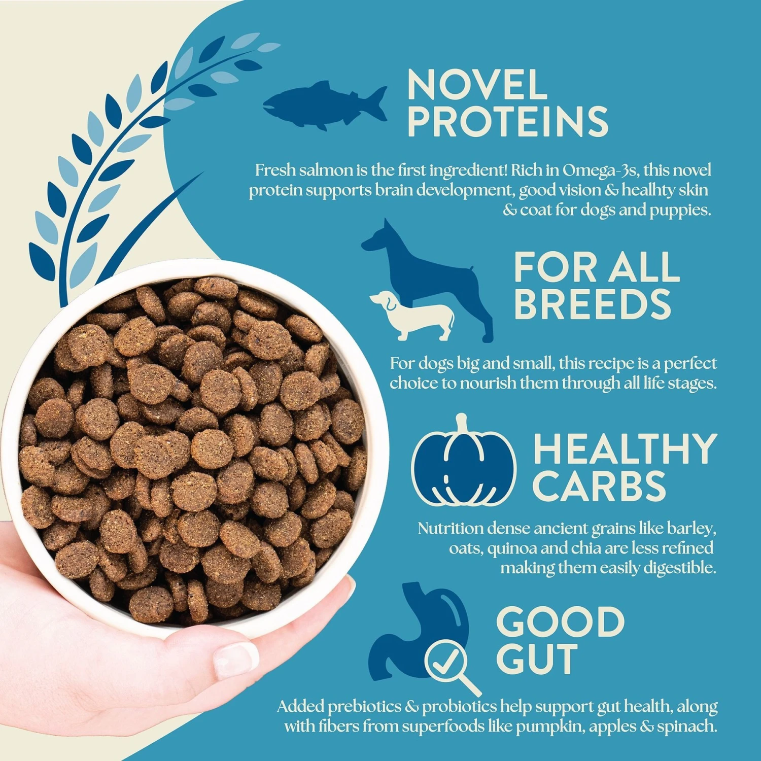 Earthborn Holistic Unrefined Smoked Salmon With Ancient Grains & Superfoods Dry Dog Food 6 Earthborn Holistic Unrefined Smoked Salmon With Ancient Grains & Superfoods Dry Dog Food - Image 4