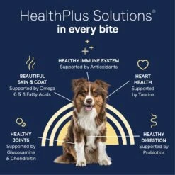 CANIDAE Grain-Free PURE Limited Ingredient Wild Boar & Garbanzo Bean Recipe Dry Dog Food 17 CANIDAE Grain-Free PURE Limited Ingredient Wild Boar & Garbanzo Bean Recipe Dry Dog Food -Blue Buffalo Shop 93155 PT6. AC SS1800 V1684837223