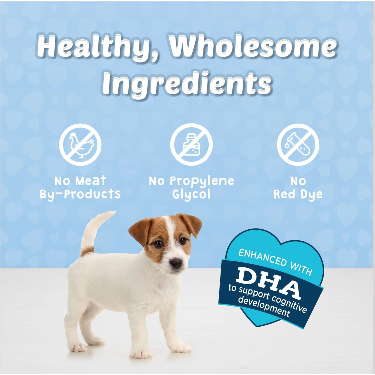 Blue Buffalo Life Protection Formula Small Breed Adult Chicken & Brown Rice Recipe Dry Dog Food & Blue Buffalo Blue Bits Tender Beef Recipe Soft-Moist Training Dog Treats 7 Blue Buffalo Life Protection Formula Small Breed Adult Chicken & Brown Rice Recipe Dry Dog Food & Blue Buffalo Blue Bits Tender Beef Recipe Soft-Moist Training Dog Treats - Image 5