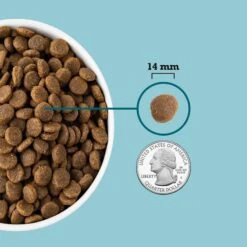 ACANA Freshwater Fish Recipe Grain-Free Dry Dog Food -Blue Buffalo Shop 93456 PT5. AC SS1800 V1694097981