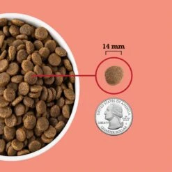 ACANA Red Meat Recipe Grain-Free Dry Dog Food 16 ACANA Red Meat Recipe Grain-Free Dry Dog Food -Blue Buffalo Shop 93460 PT5. AC SS1800 V1694097471