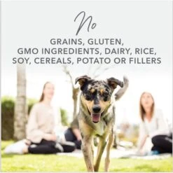 K9 Natural Beef Feast Freeze-Dried Dog Food Topper -Blue Buffalo Shop 93462 PT2. AC SS1800 V1693244608