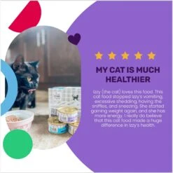 I And Love And You Variety Pack Grain-Free Canned Cat Food 14 I And Love And You Variety Pack Grain-Free Canned Cat Food -Blue Buffalo Shop 93540 PT3. AC SS1800 V1692388808