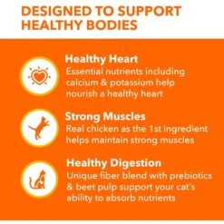 Iams ProActive Health Healthy Adult Original With Chicken Dry Cat Food 15 Iams ProActive Health Healthy Adult Original With Chicken Dry Cat Food -Blue Buffalo Shop 93642 PT4. AC SS1800 V1609948652