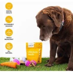 Good Pet Kitchen Chicken Neck Air Dried Dog Treat, 2.8-oz Bag 9 Good Pet Kitchen Chicken Neck Air Dried Dog Treat, 2.8-oz Bag -Blue Buffalo Shop 937518 PT2. AC SS1800 V1692721116