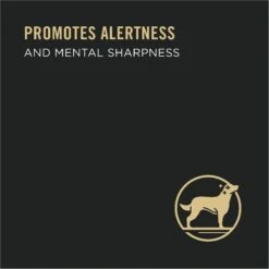 Purina Pro Plan Bright Mind Senior Adult 7+ Beef & Brown Rice Entree Wet Dog Food 12 Purina Pro Plan Bright Mind Senior Adult 7+ Beef & Brown Rice Entree Wet Dog Food -Blue Buffalo Shop 93815 PT2. AC SS1800 V1633074077