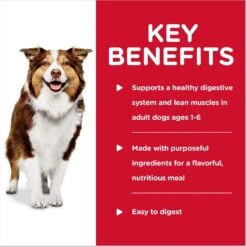 Hill's Science Diet Adult Healthy Cuisine Braised Beef, Carrots & Peas Stew Canned Dog Food -Blue Buffalo Shop 94006 PT3. AC SS1800 V1598148653