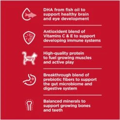 Hill's Science Diet Kitten Healthy Cuisine Tender Chicken & Rice Medley Canned Cat Food 14 Hill's Science Diet Kitten Healthy Cuisine Tender Chicken & Rice Medley Canned Cat Food -Blue Buffalo Shop 94018 PT3. AC SS1800 V1693497930