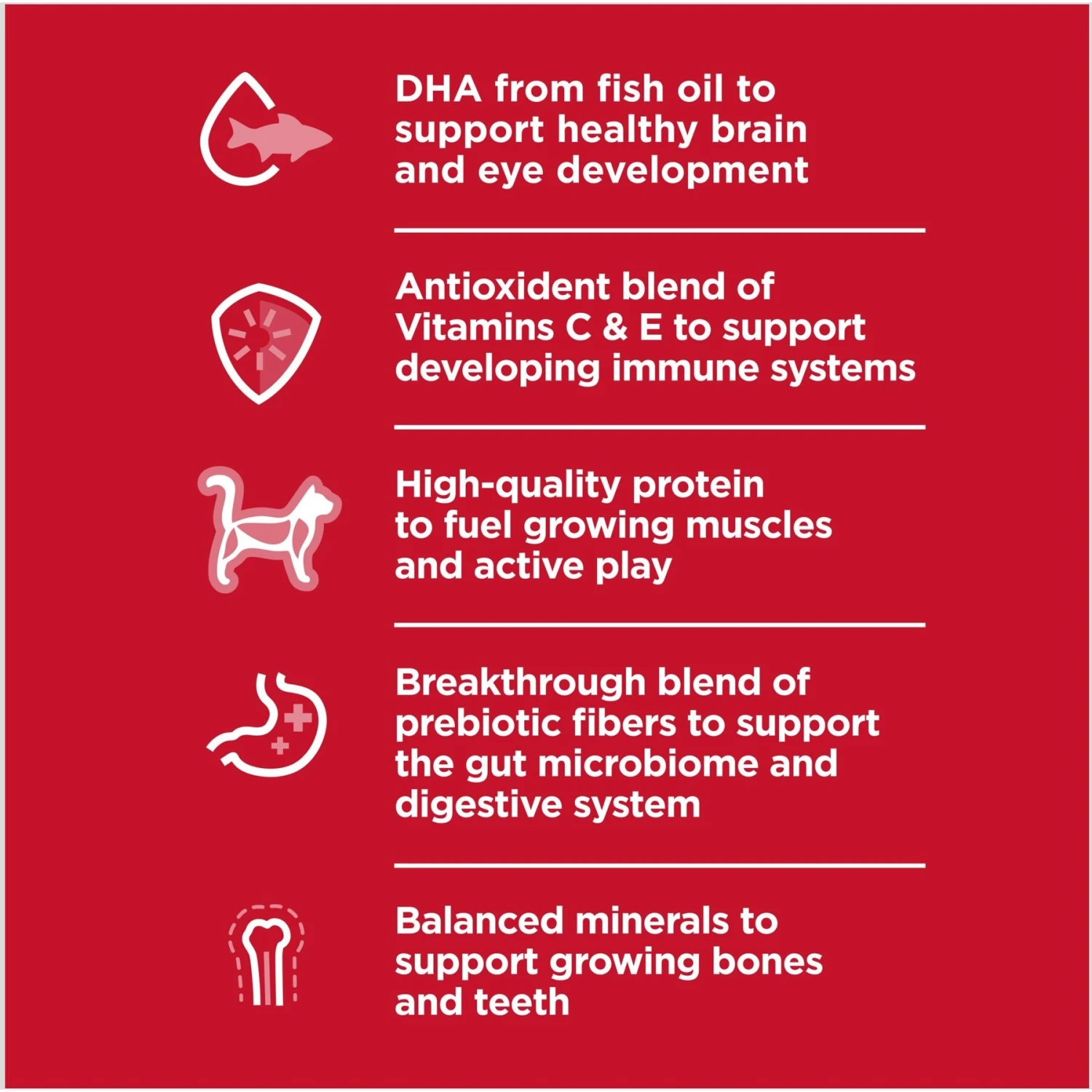Hill's Science Diet Kitten Healthy Cuisine Tender Chicken & Rice Medley Canned Cat Food 6 Hill's Science Diet Kitten Healthy Cuisine Tender Chicken & Rice Medley Canned Cat Food - Image 4