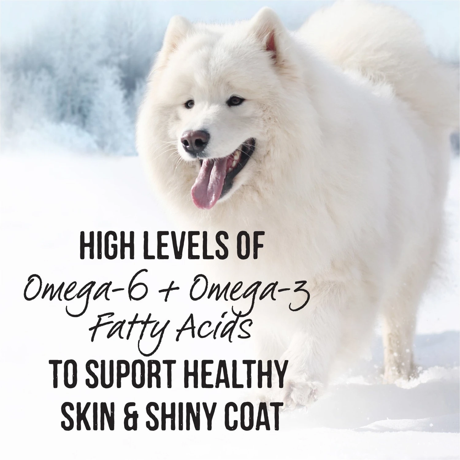 Merrick Backcountry Grain-Free Wet Dog Food Chunky Beef Dinner In Gravy 8 Merrick Backcountry Grain-Free Wet Dog Food Chunky Beef Dinner In Gravy - Image 6