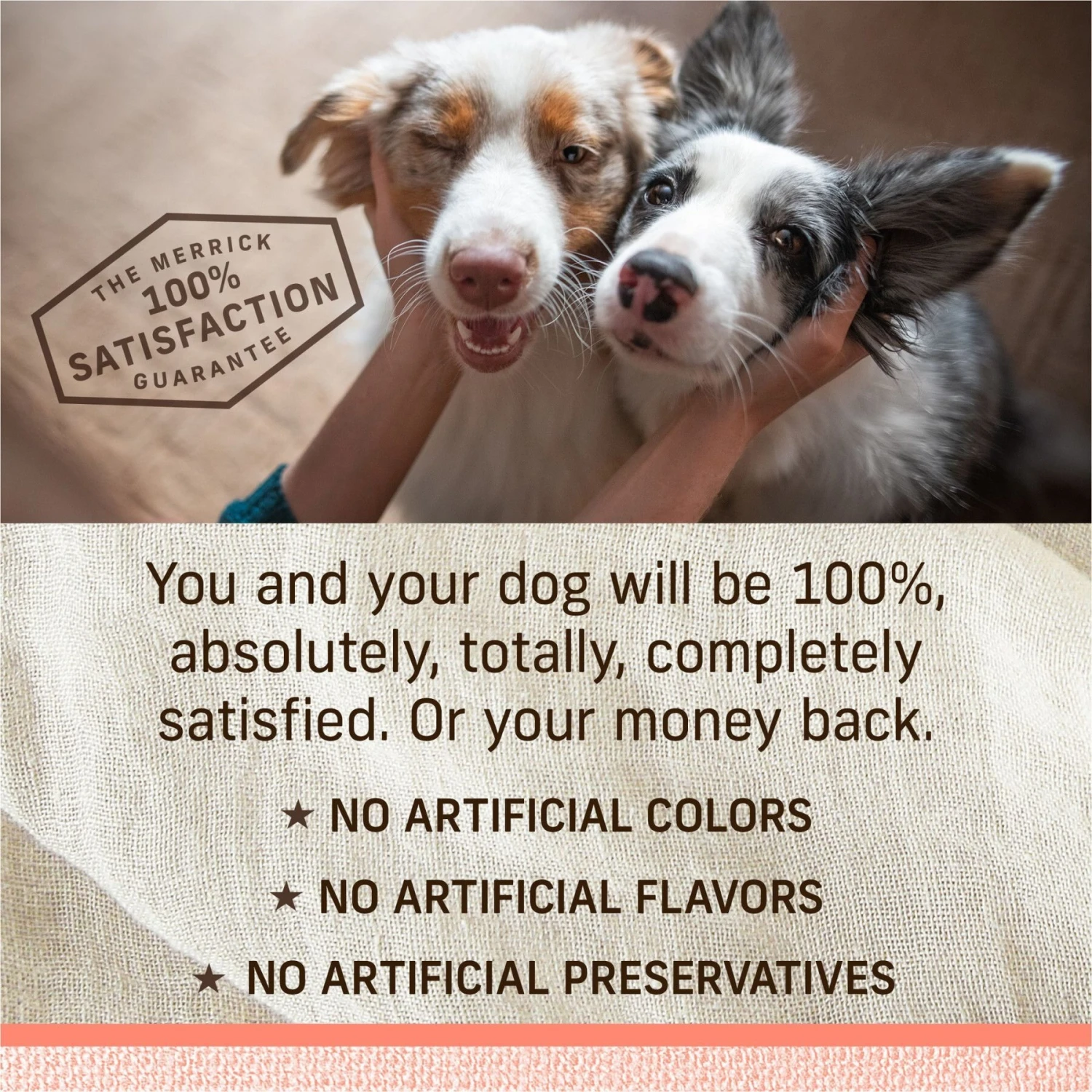 Merrick Lil' Plates Grain-Free Chicken-Free Real Salmon + Sweet Potato Recipe Small Breed Dry Dog Food 10 Merrick Lil' Plates Grain-Free Chicken-Free Real Salmon + Sweet Potato Recipe Small Breed Dry Dog Food - Image 8