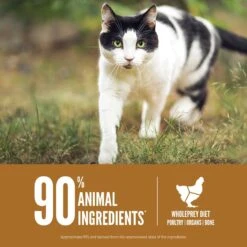 ORIJEN Original Grain-Free Dry Cat Food & ORIJEN Original Grain-Free Freeze-Dried Cat Treats -Blue Buffalo Shop 947310 PT4. AC SS1800 V1693925143