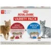 Royal Canin Feline Health Nutrition Adult Indoor & Instinctive Variety Pack Wet Cat Food, 3-oz Can, Case Of 12 2 Royal Canin Feline Health Nutrition Adult Indoor & Instinctive Variety Pack Wet Cat Food, 3-oz Can, Case Of 12 -Blue Buffalo Shop 950366 MAIN. AC SS1800 V1693495820