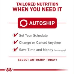 Royal Canin Feline Health Nutrition Adult Indoor & Instinctive Variety Pack Wet Cat Food, 3-oz Can, Case Of 12 11 Royal Canin Feline Health Nutrition Adult Indoor & Instinctive Variety Pack Wet Cat Food, 3-oz Can, Case Of 12 -Blue Buffalo Shop 950366 PT4. AC SS1800 V1693497983