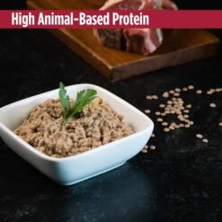 Nulo Freestyle Beef & Lamb Recipe Grain-Free Canned Cat & Kitten Food -Blue Buffalo Shop 95256 PT3. AC SS1800 V1665525829