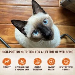 Wellness CORE Grain-Free Hearty Cuts In Gravy Shredded Chicken & Tuna Recipe Canned Cat Food 11 Wellness CORE Grain-Free Hearty Cuts In Gravy Shredded Chicken & Tuna Recipe Canned Cat Food -Blue Buffalo Shop 95708 PT2. AC SS1800 V1666652479