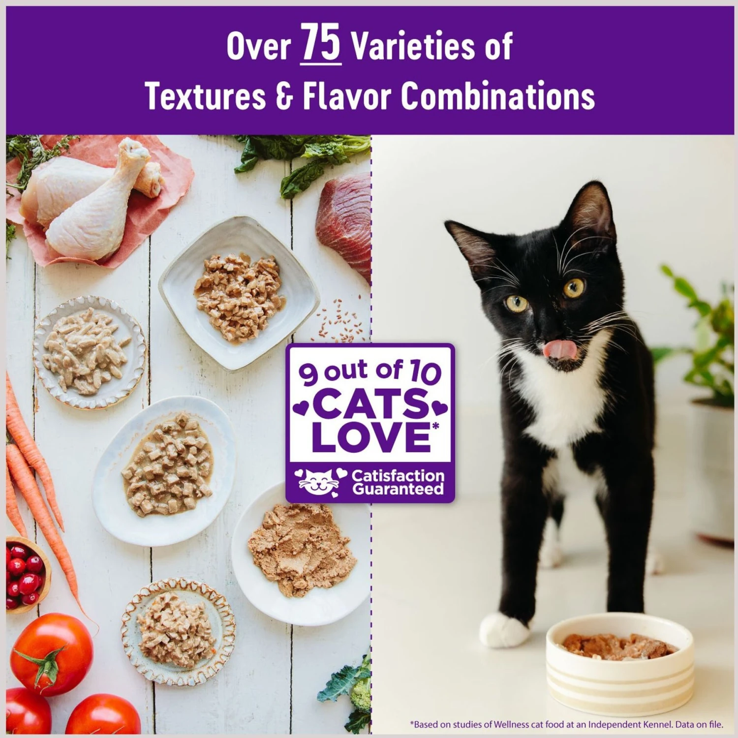 Wellness Healthy Indulgence Gravies With Bits Of Chicken & Turkey Smothered In Gravy Grain-Free Wet Cat Food Pouches 4 Wellness Healthy Indulgence Gravies With Bits Of Chicken & Turkey Smothered In Gravy Grain-Free Wet Cat Food Pouches - Image 2