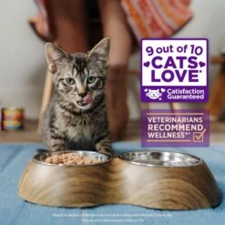 Wellness Healthy Indulgence Gravies With Bits Of Chicken & Turkey Smothered In Gravy Grain-Free Wet Cat Food Pouches 12 Wellness Healthy Indulgence Gravies With Bits Of Chicken & Turkey Smothered In Gravy Grain-Free Wet Cat Food Pouches -Blue Buffalo Shop 95714 PT2. AC SS1800 V1695839058