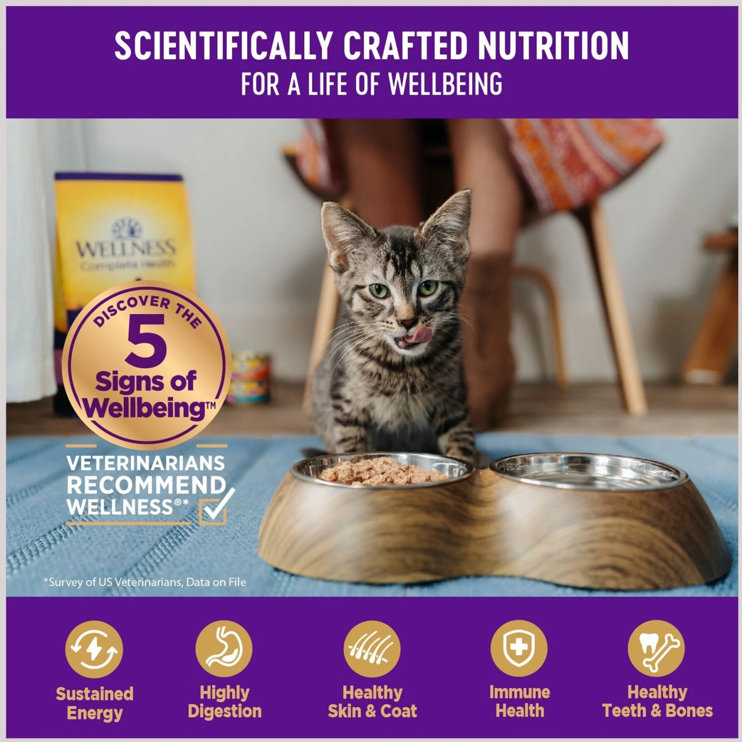 Wellness Healthy Indulgence Gravies With Bits Of Chicken & Turkey Smothered In Gravy Grain-Free Wet Cat Food Pouches 6 Wellness Healthy Indulgence Gravies With Bits Of Chicken & Turkey Smothered In Gravy Grain-Free Wet Cat Food Pouches - Image 4