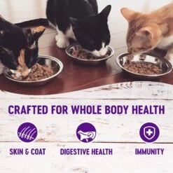 Wellness Healthy Indulgence Morsels With Turkey & Duck In Savory Sauce Grain-Free Wet Cat Food Pouches 12 Wellness Healthy Indulgence Morsels With Turkey & Duck In Savory Sauce Grain-Free Wet Cat Food Pouches -Blue Buffalo Shop 95729 PT2. AC SS1800 V1621990370