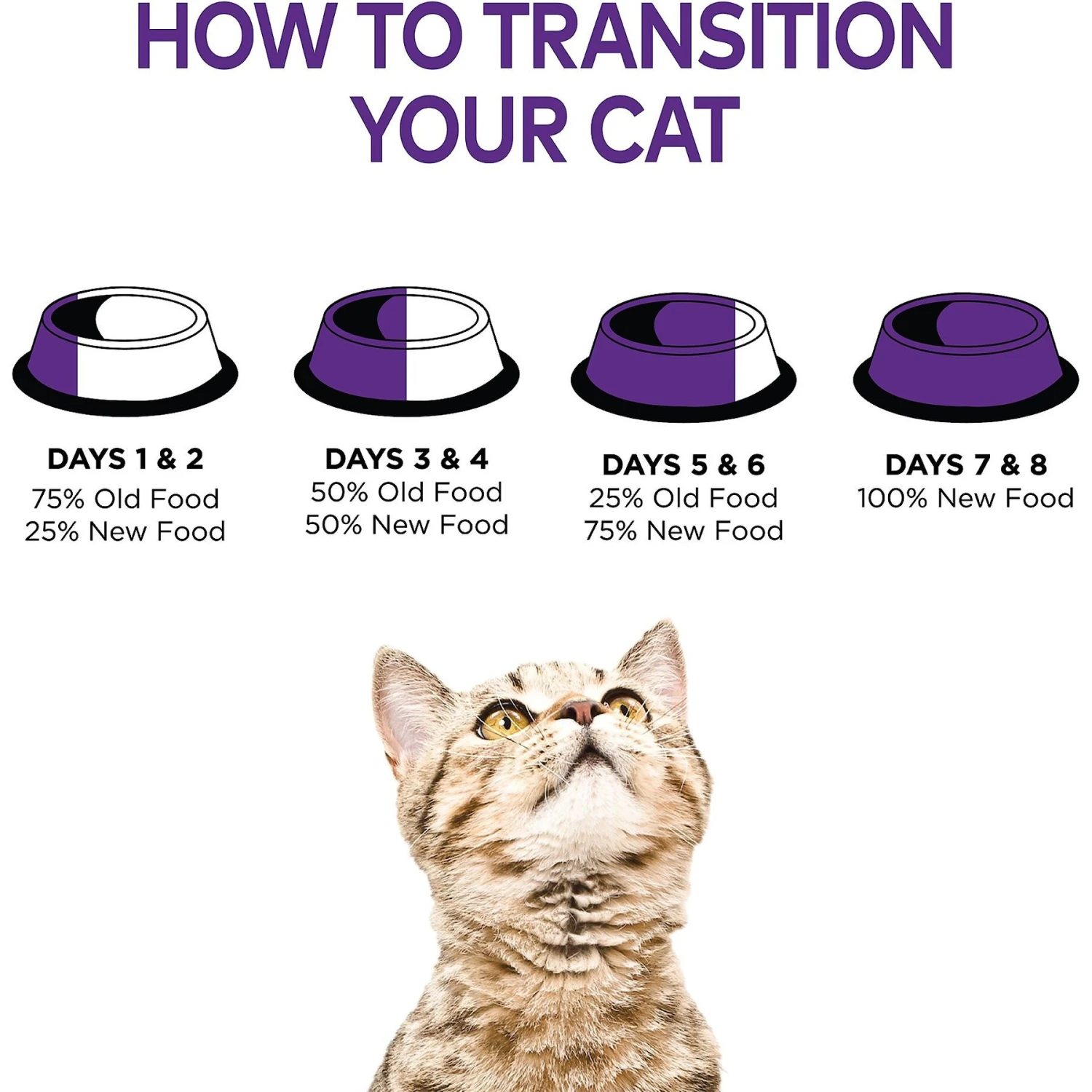 Wellness Healthy Indulgence Shreds With Skipjack Tuna & Shrimp In Light Sauce Grain-Free Wet Cat Food Pouches 11 Wellness Healthy Indulgence Shreds With Skipjack Tuna & Shrimp In Light Sauce Grain-Free Wet Cat Food Pouches - Image 9