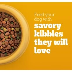 Pedigree High Protein Beef & Lamb Flavor Dog Kibble Adult Dry Dog Food -Blue Buffalo Shop 958998 PT3. AC SS1800 V1695064035