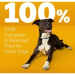 Pedigree High Protein Beef & Lamb Flavor Dog Kibble Adult Dry Dog Food -Blue Buffalo Shop 958998 PT8. AC SS1800 V1695064033