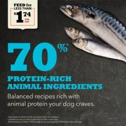 ACANA Wild Atlantic Grain-Free Dry Dog Food -Blue Buffalo Shop 96309 PT3. AC SS1800 V1691002890