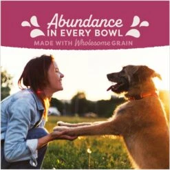 Natural Balance Fat Dogs Chicken & Salmon Formula Low Calorie Dry Dog Food 16 Natural Balance Fat Dogs Chicken & Salmon Formula Low Calorie Dry Dog Food -Blue Buffalo Shop 963702 PT5. AC SS1800 V1695055625