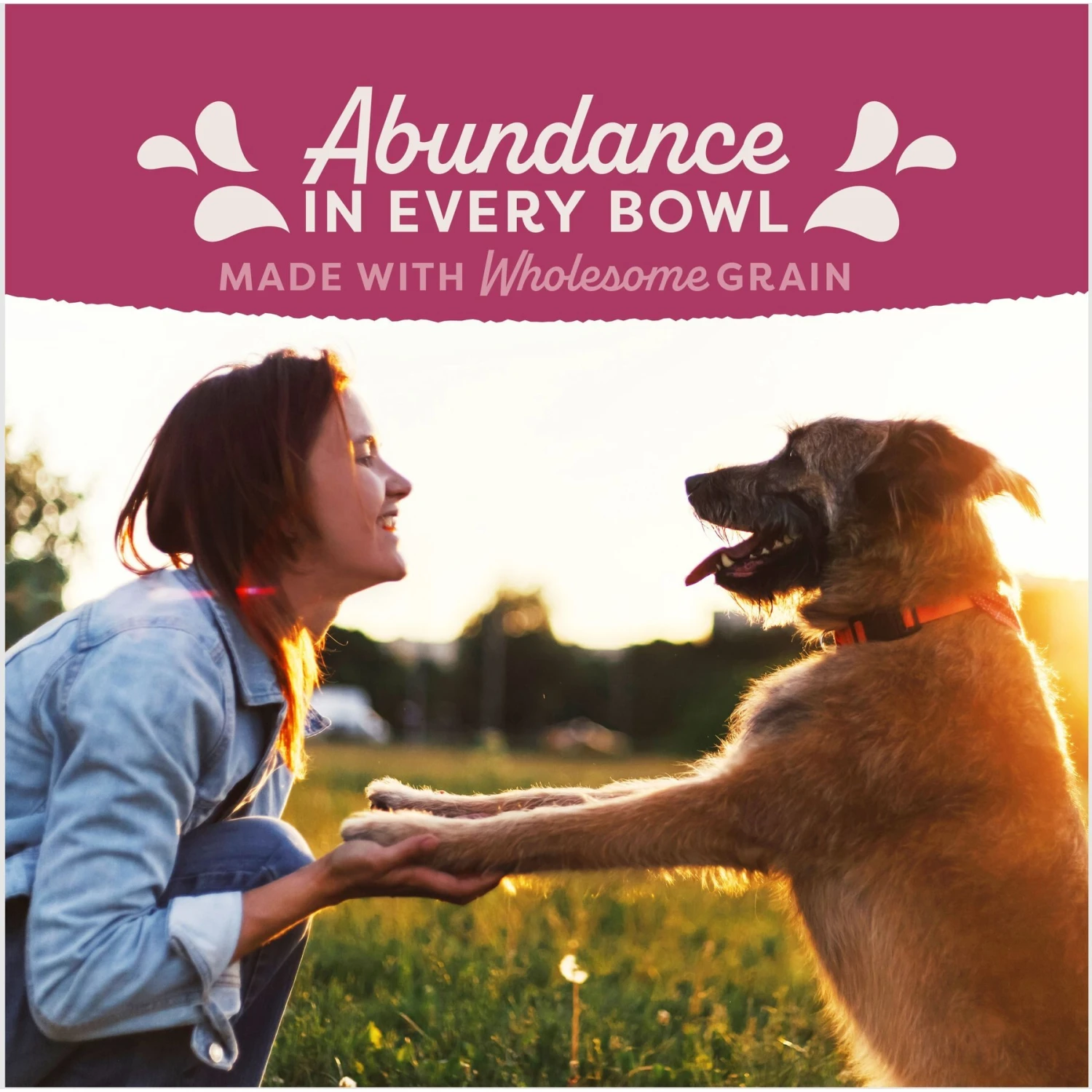 Natural Balance Fat Dogs Chicken & Salmon Formula Low Calorie Dry Dog Food 8 Natural Balance Fat Dogs Chicken & Salmon Formula Low Calorie Dry Dog Food - Image 6